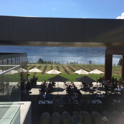 50TH PARALLEL ESTATE WINERY