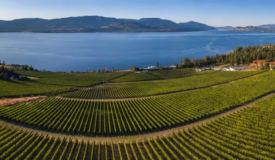 CEDAR CREEK ESTATE WINERY