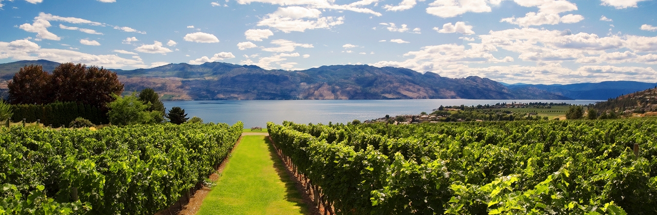 Okanagan Wine Tours